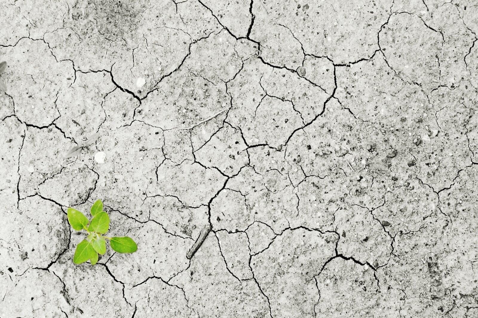 How Small Changes Can Create a Big Environmental Impact