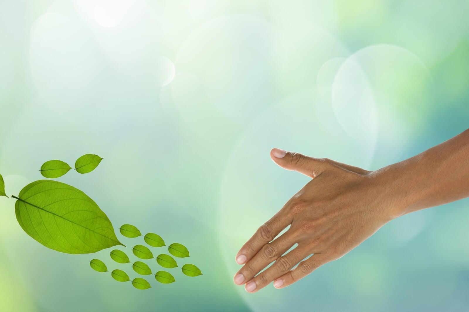 5 Simple Ways to Make Your Business More Sustainable