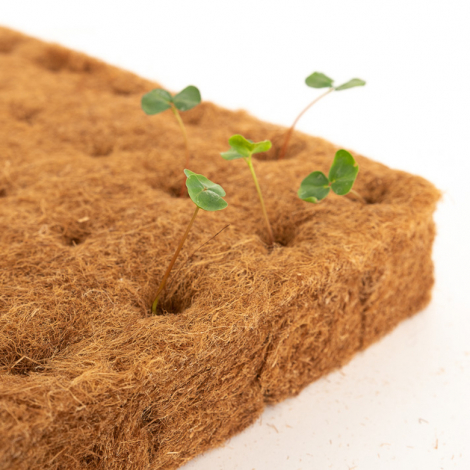 Terrafiber Growing Cubes 1.5"